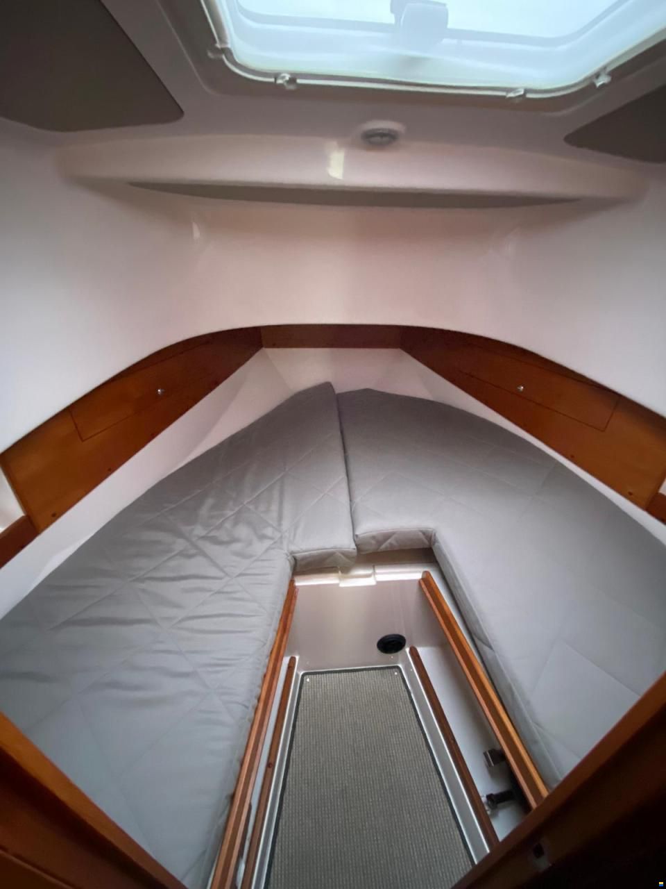 Sargo 31