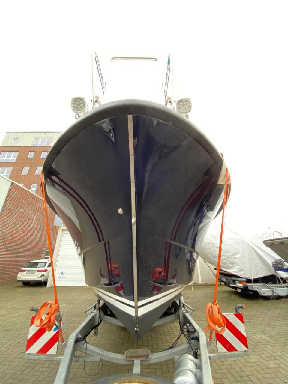 Sargo 31