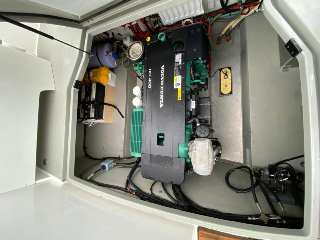 Sargo 31