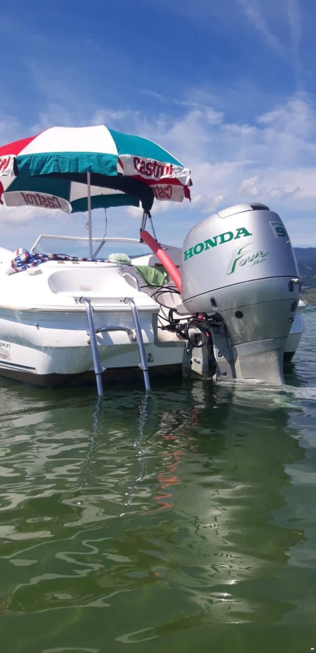 Campion Allante 565 SC