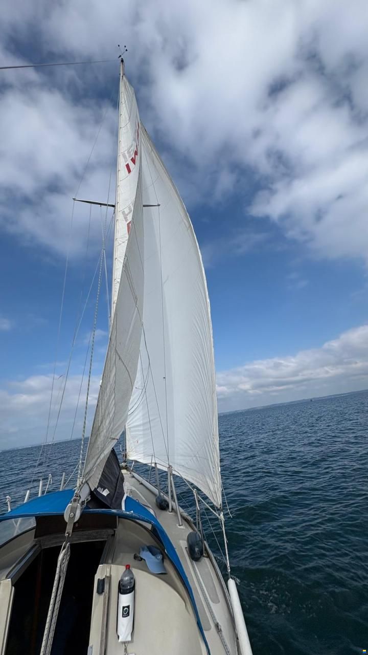 IW-Varvet IW 31 Sparkman and Stephens