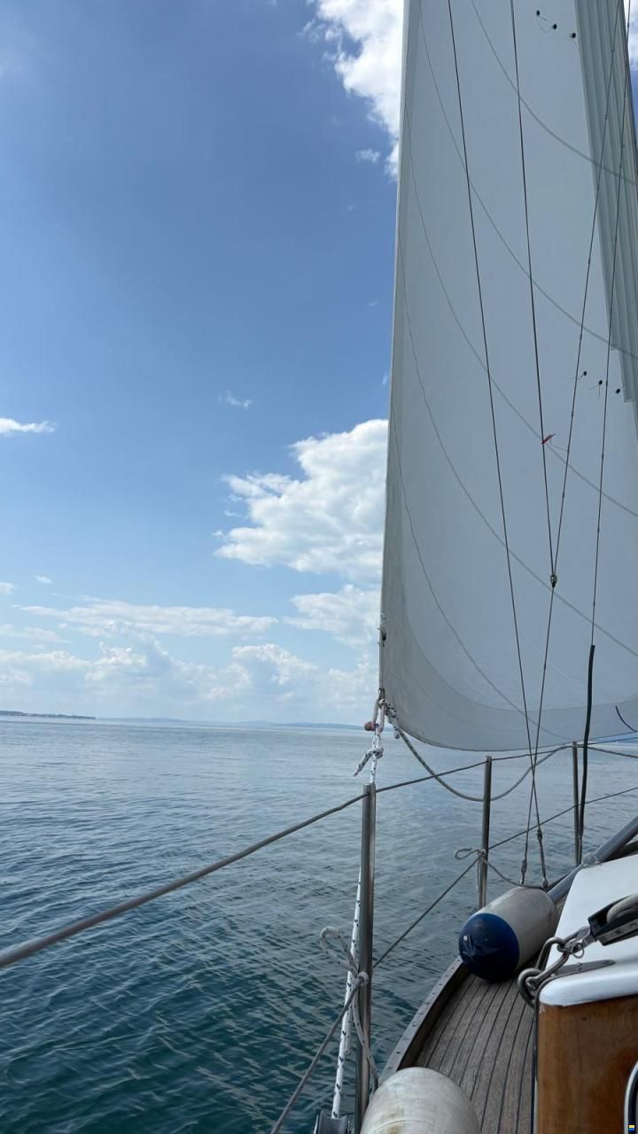 IW-Varvet IW 31 Sparkman and Stephens