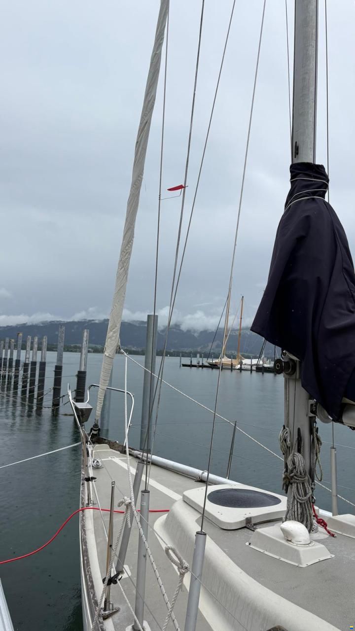 IW-Varvet IW 31 Sparkman and Stephens