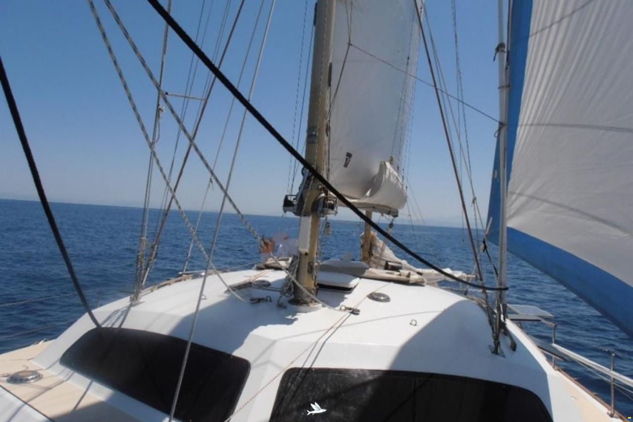 Sailcraft Apache 41