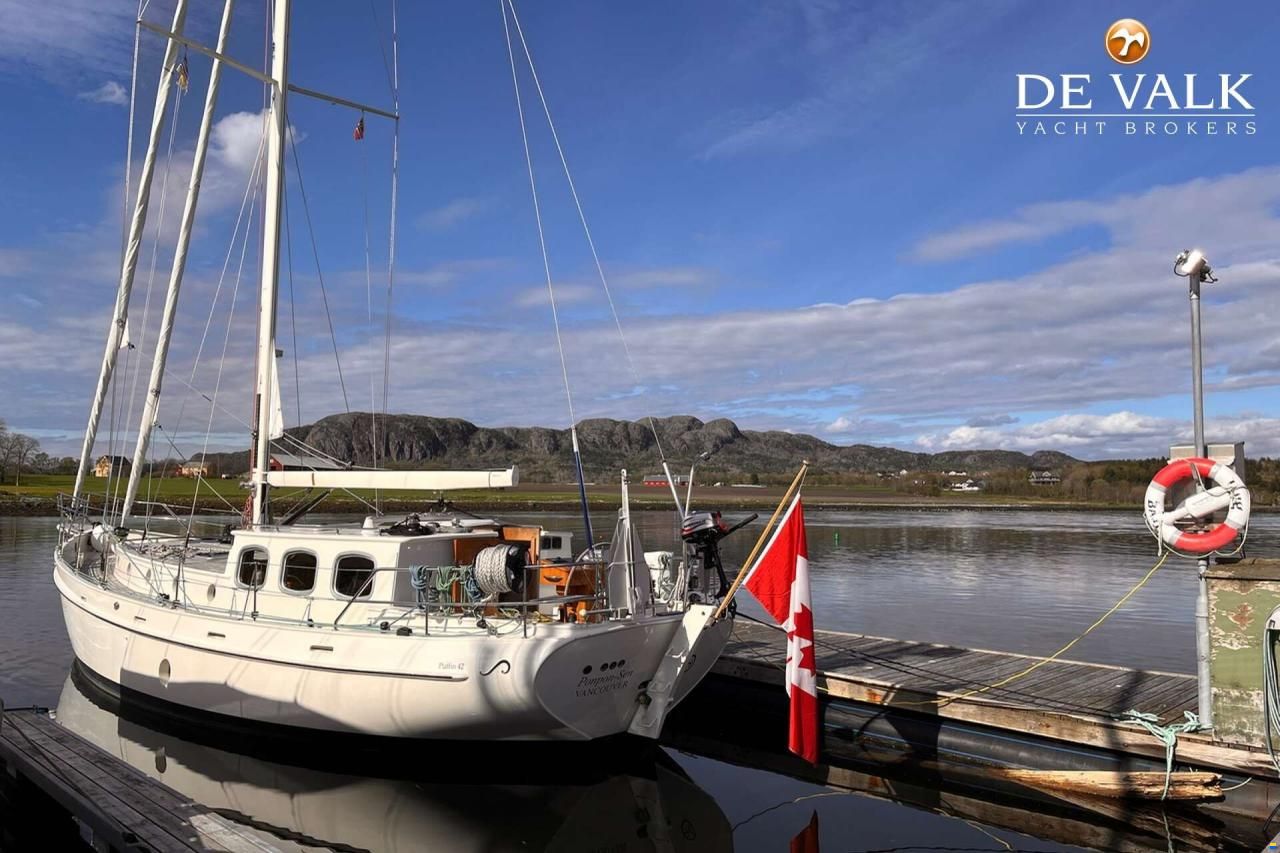 Puffin 42