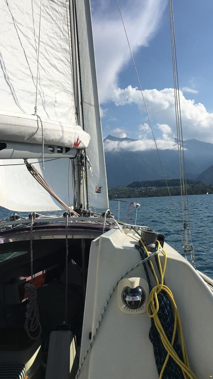 Archambault Surprise