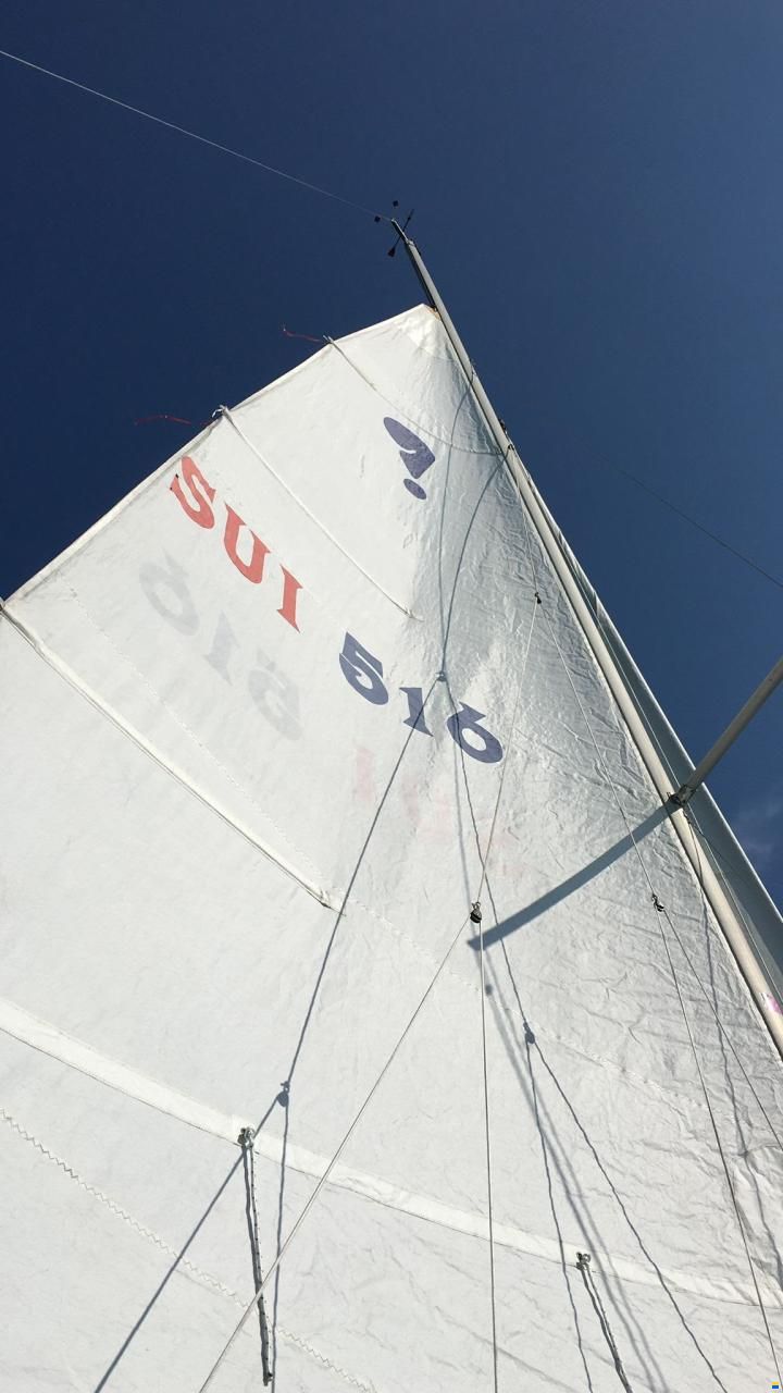 Archambault Surprise