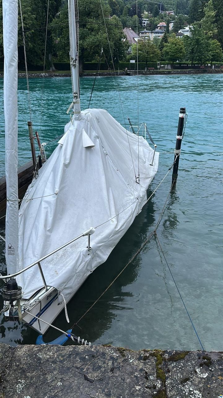 Archambault Surprise