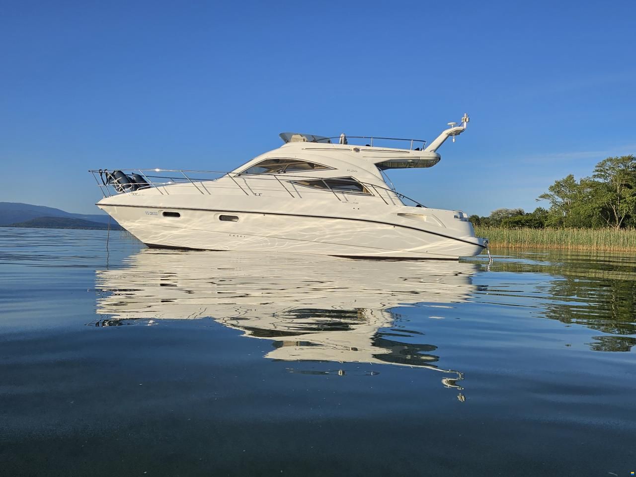 Sealine F34