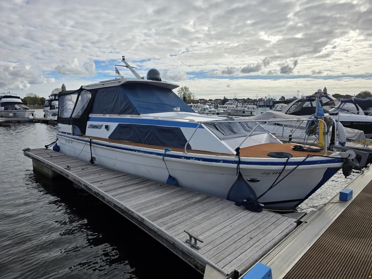 Cytra Courie de Luxe 31