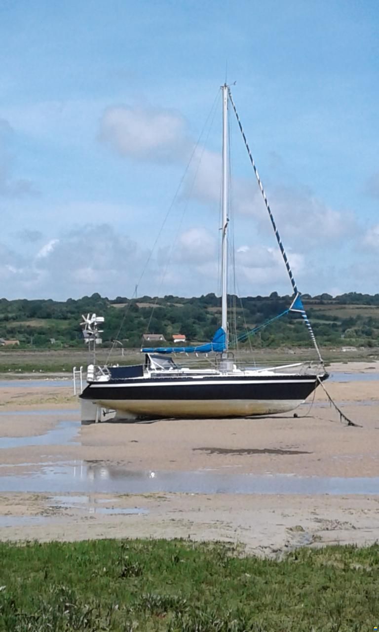 Archimede 36
