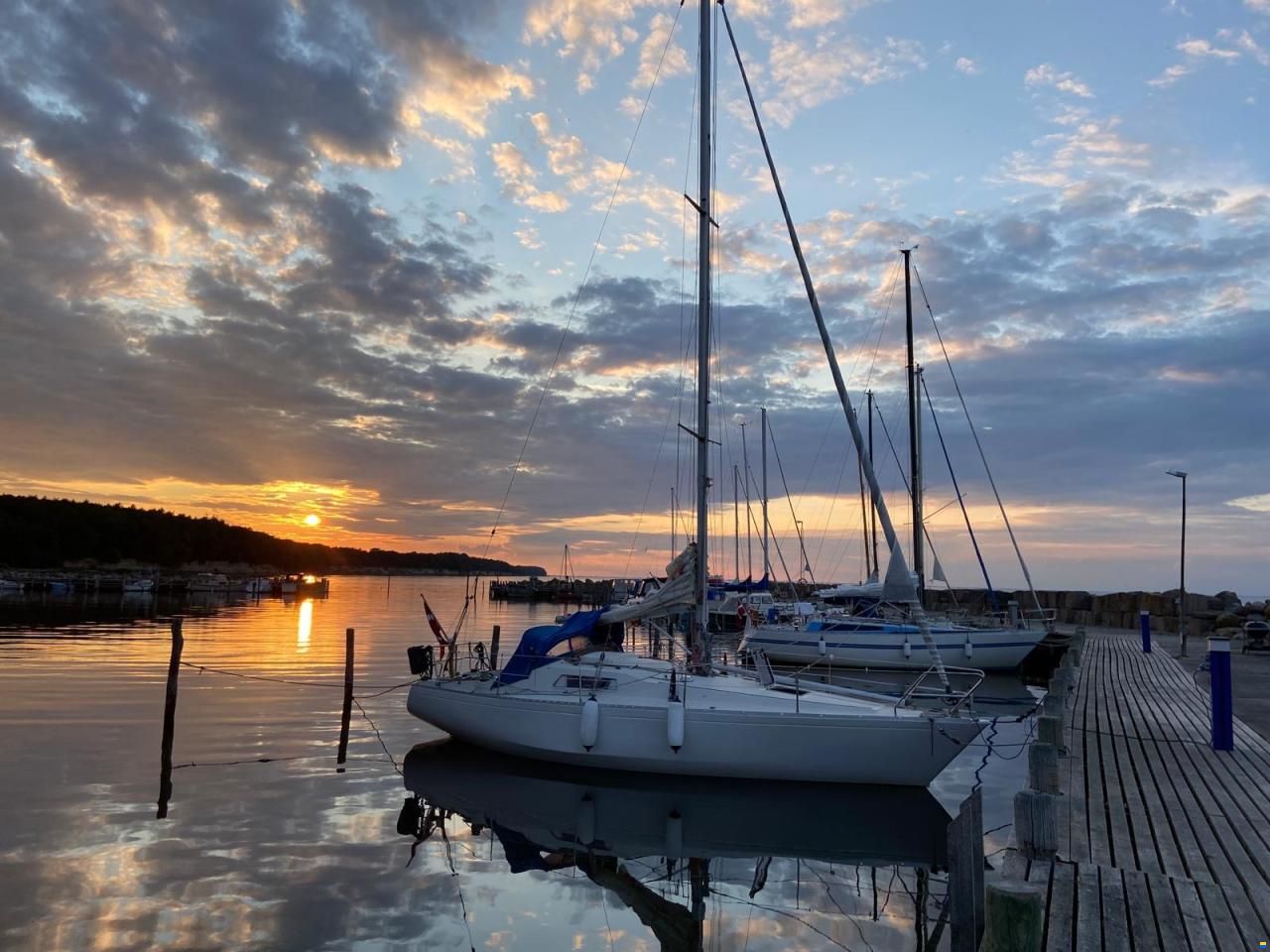 Albin Scampi 30 Special