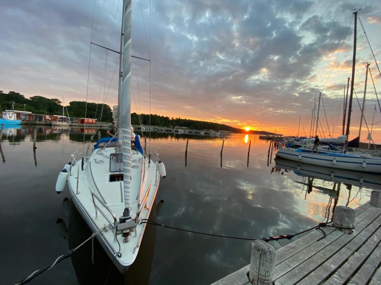 Albin Scampi 30 Special