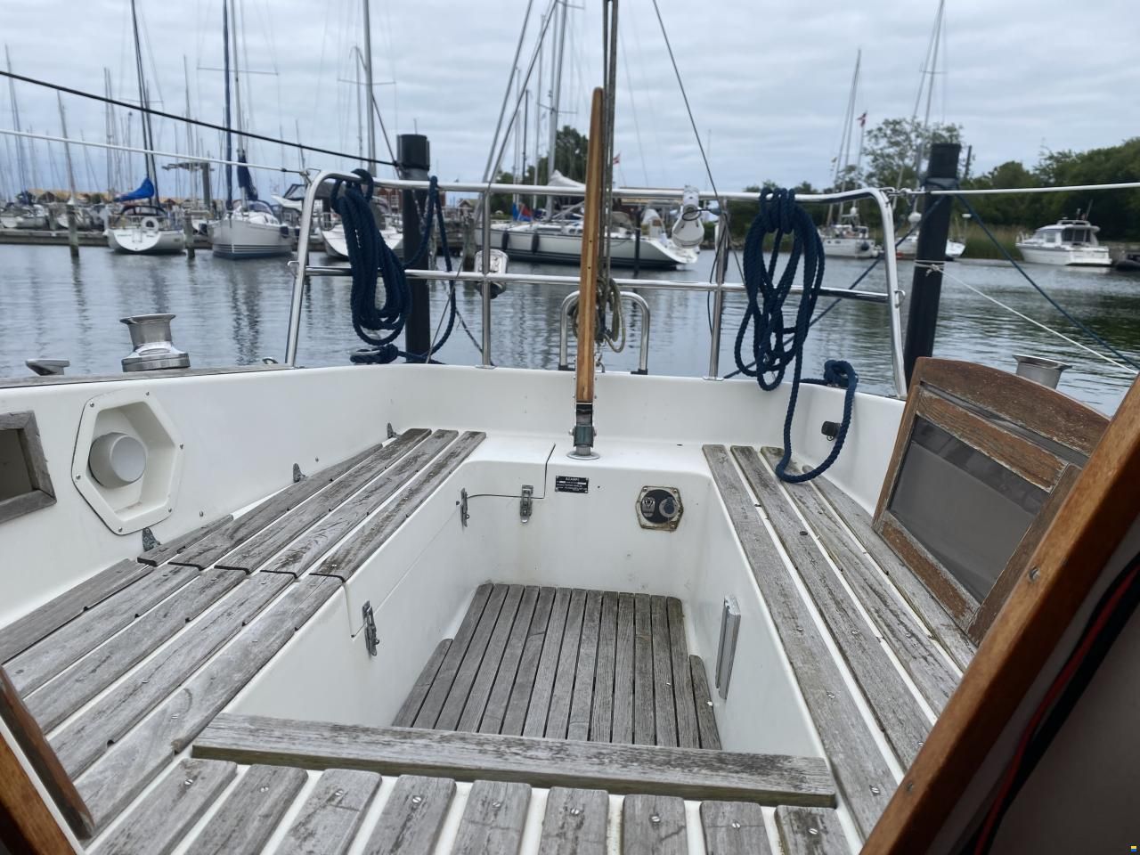 Albin Scampi 30 Special