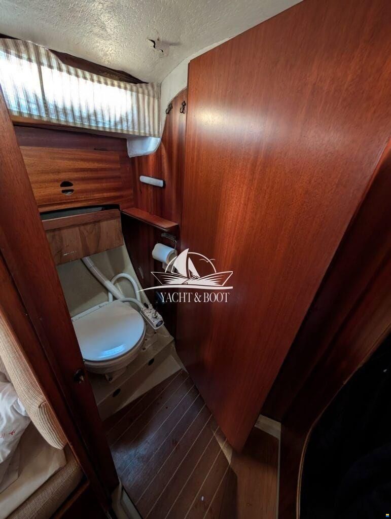 Bianca Commander 31