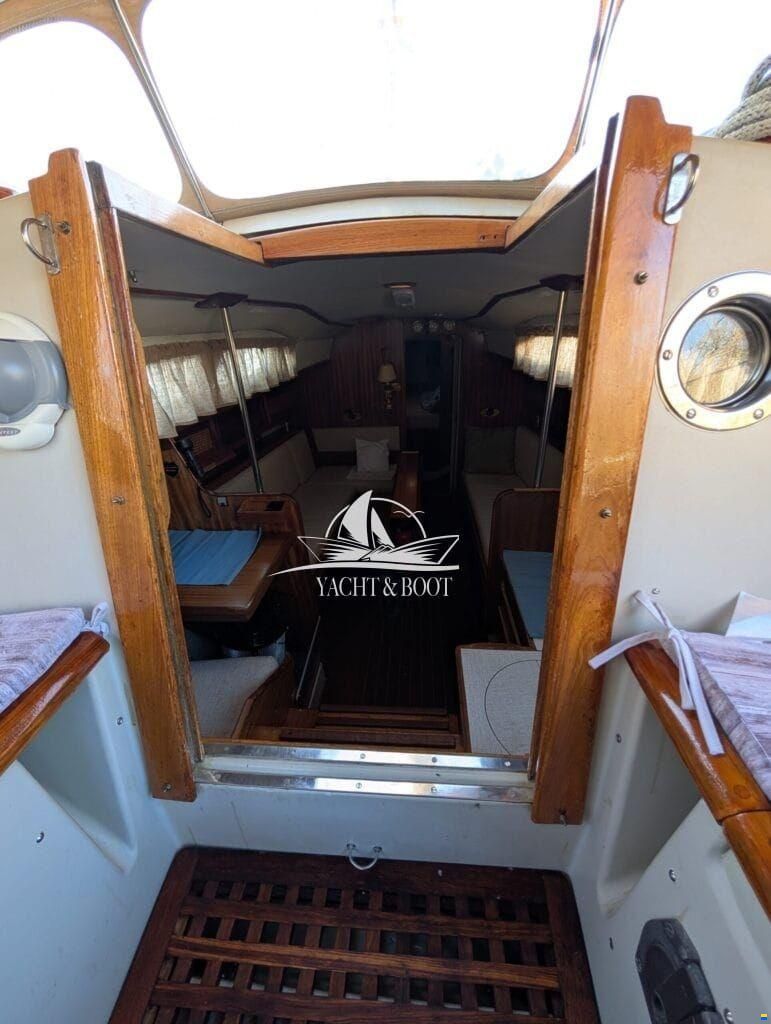 Bianca Commander 31