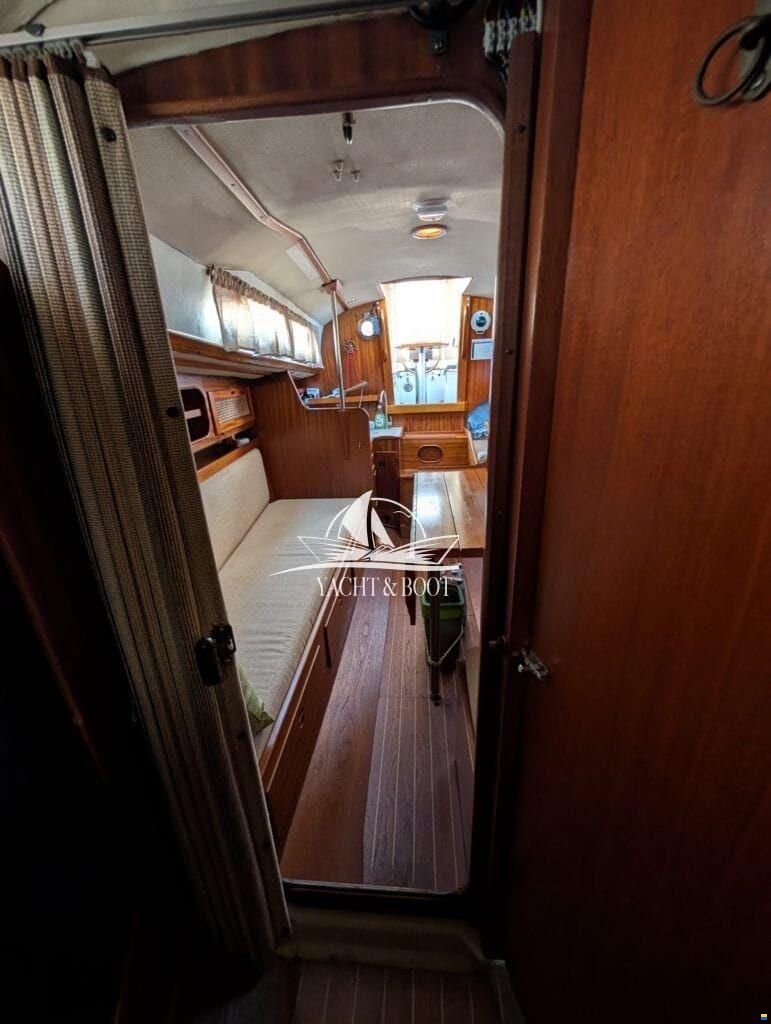Bianca Commander 31
