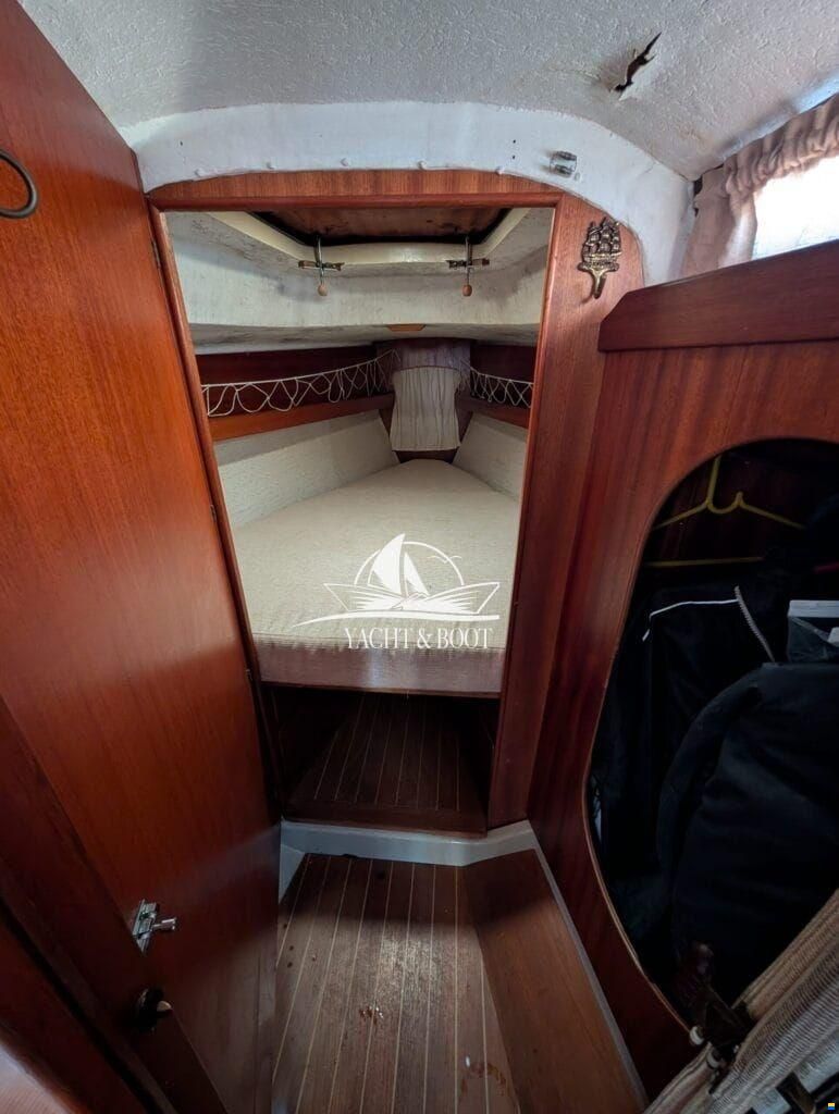 Bianca Commander 31