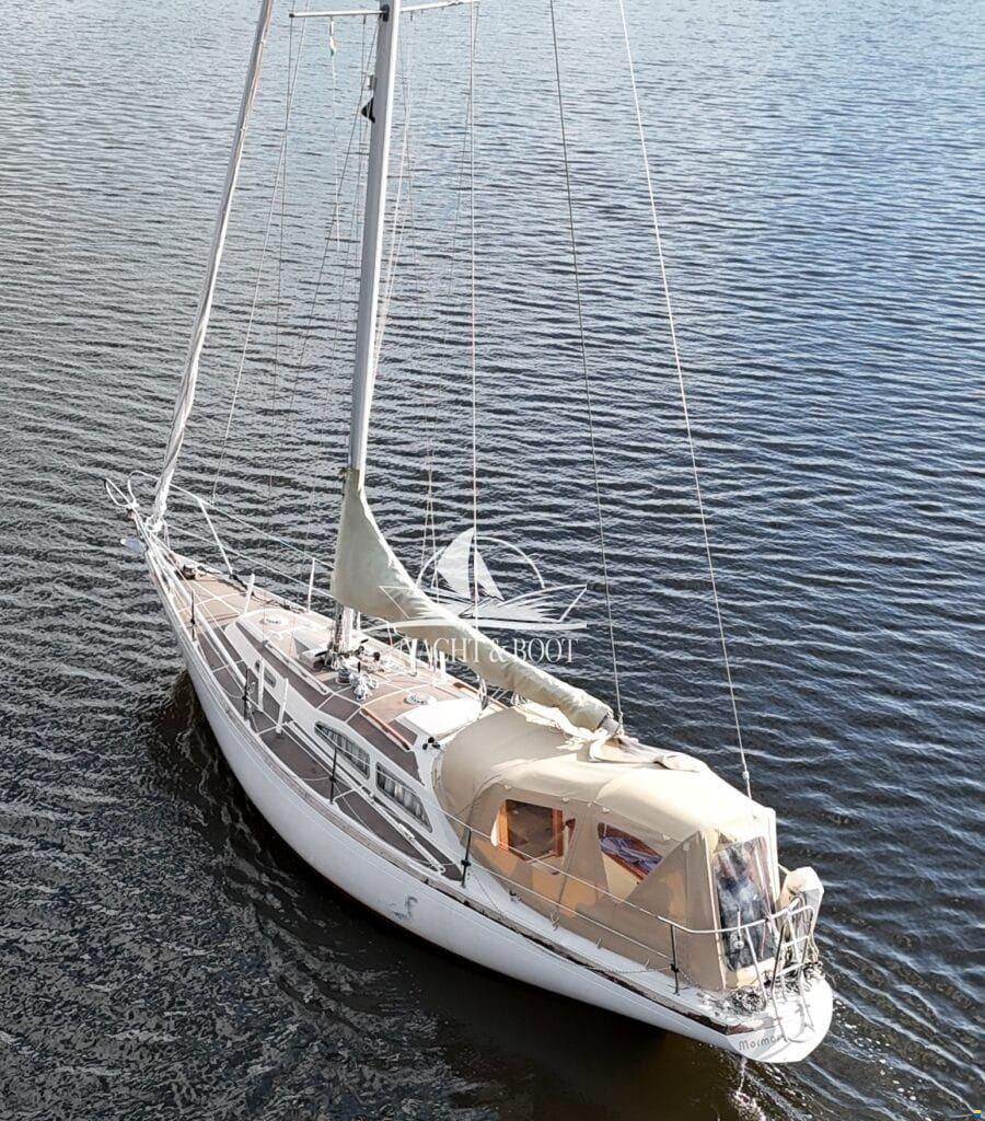 Bianca Commander 31