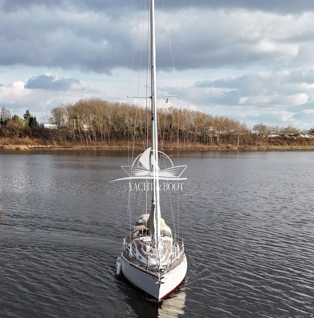 Bianca Commander 31