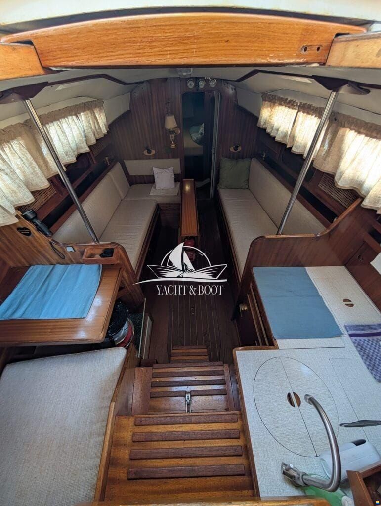 Bianca Commander 31