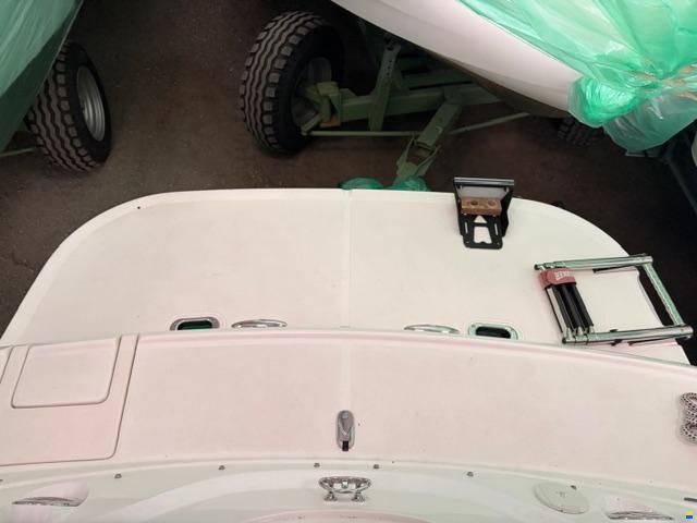 Campion Allante 545i Special Edition