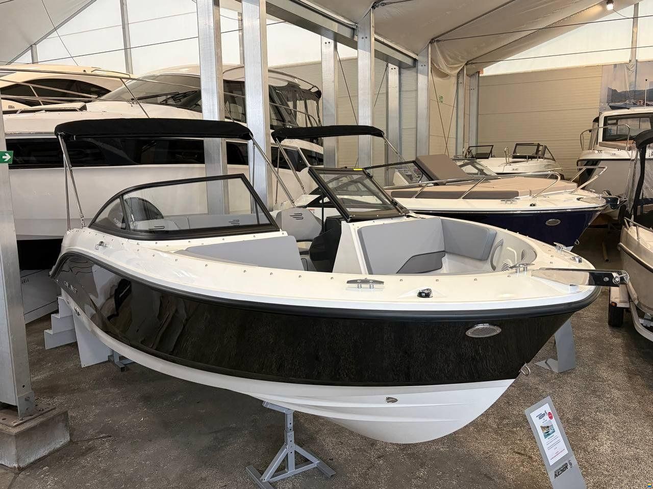 Bayliner V20