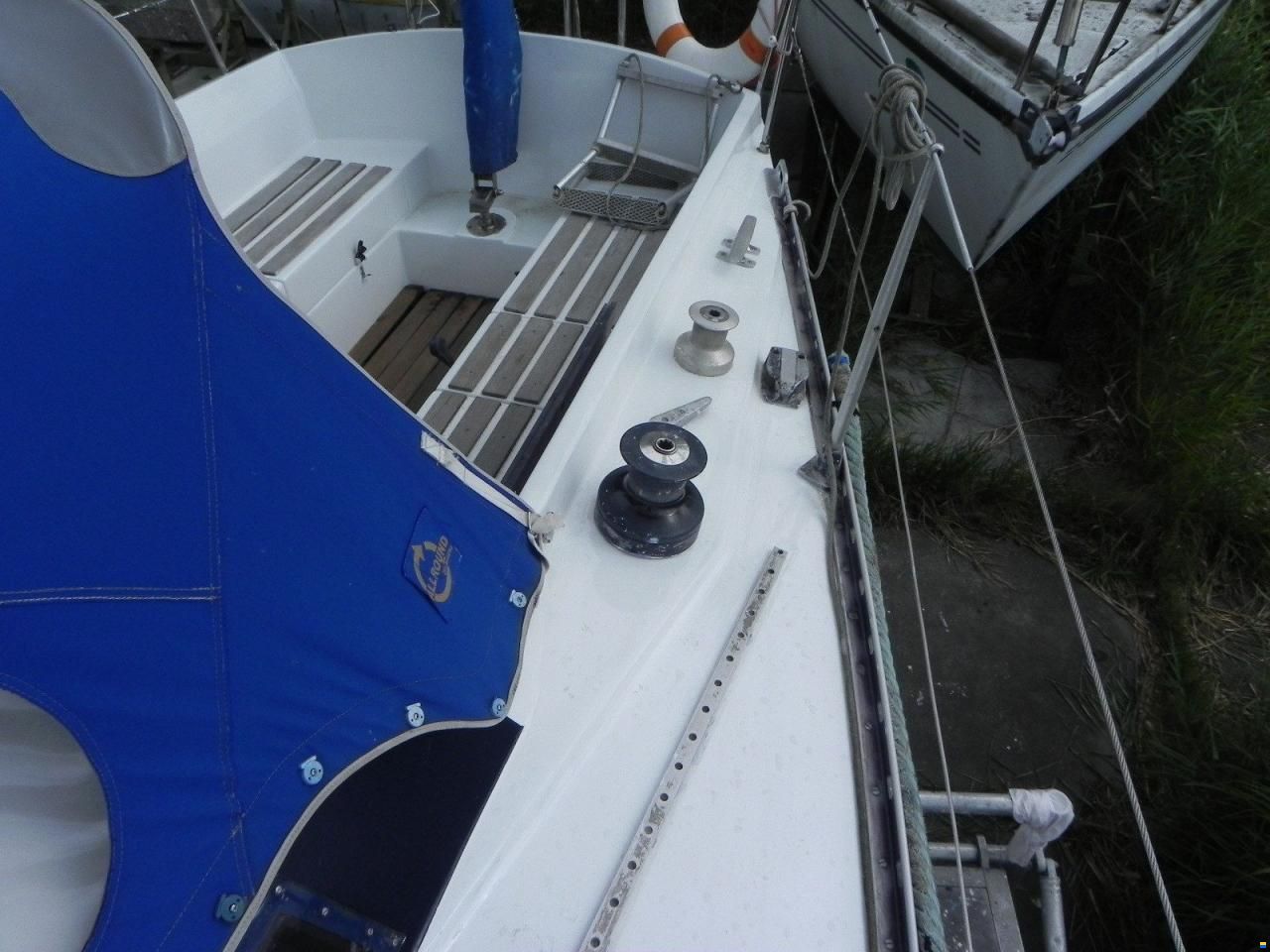 Kalik 33