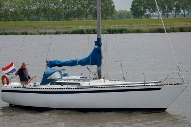 Kalik 33