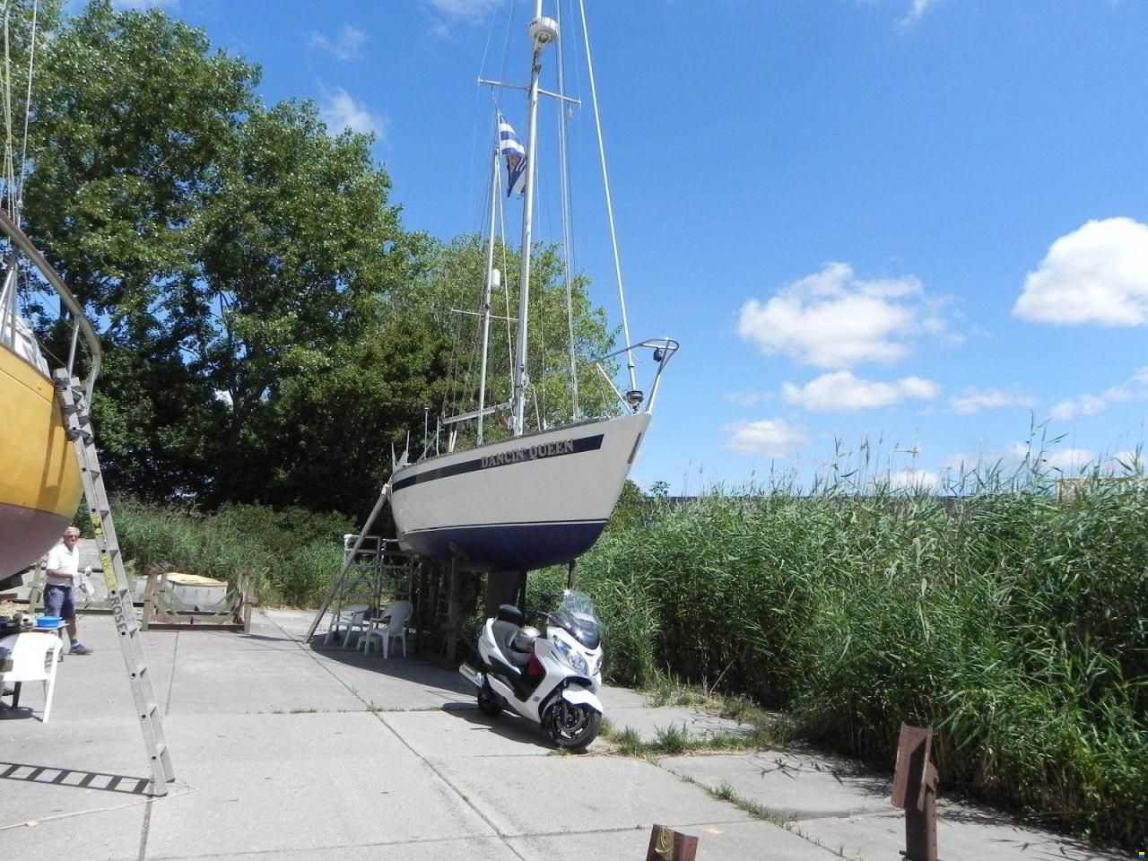 Kalik 33
