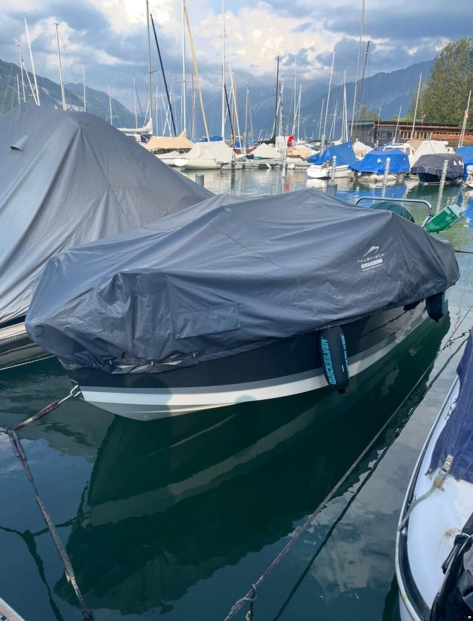 Quicksilver Activ 555