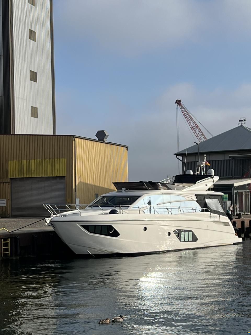 Absolute Fly 52