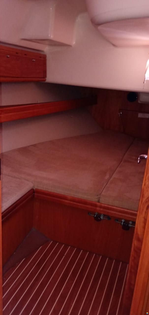 Bavaria 50 Vision
