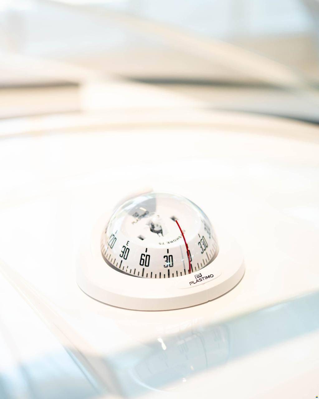 Coaster 600 Day Cruiser