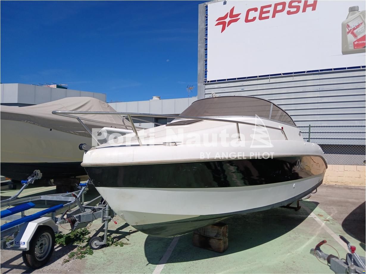 Sessa Oyster 20