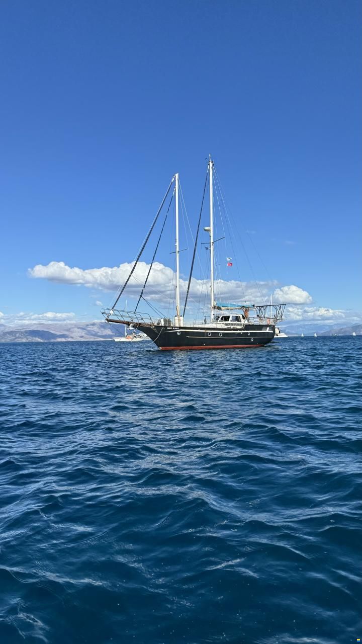 Pirat 53