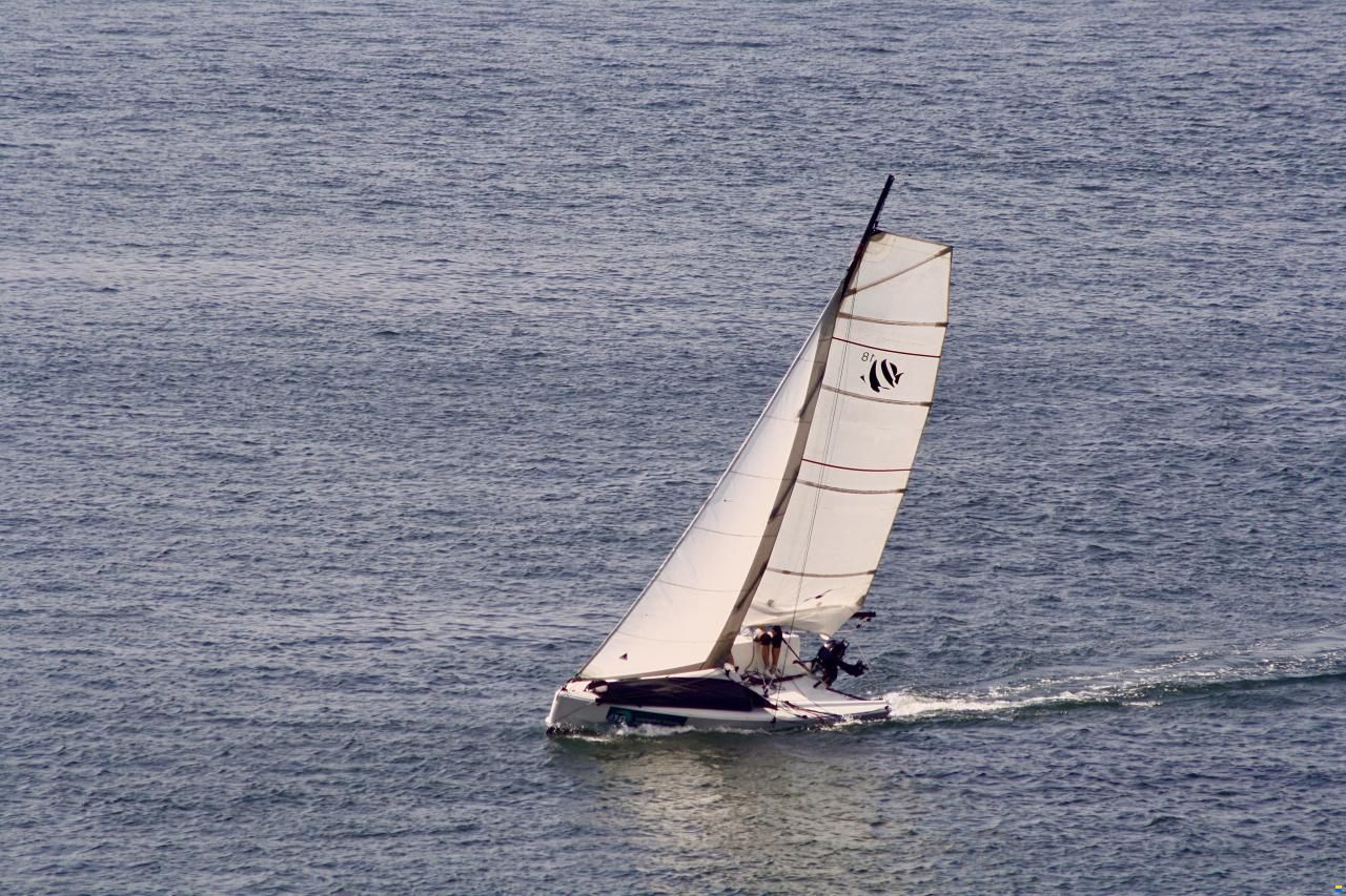 Seascape 18