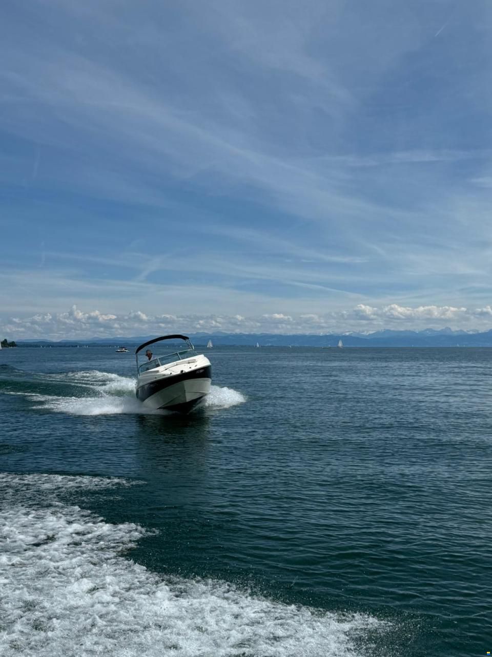 Bayliner Cuddy Cabin 802
