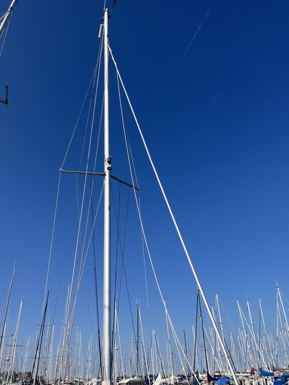 Dehler 31