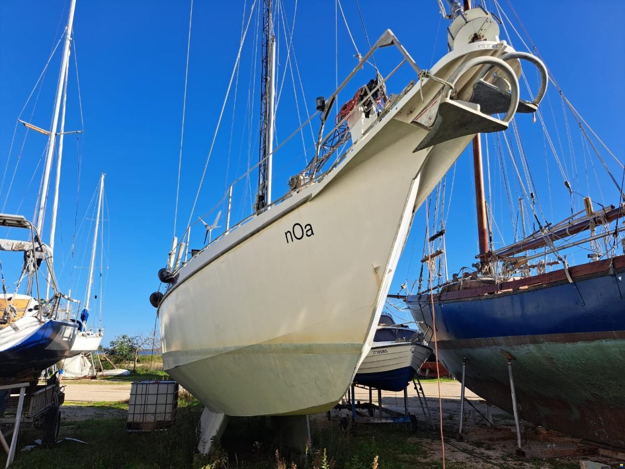 Reinke 13