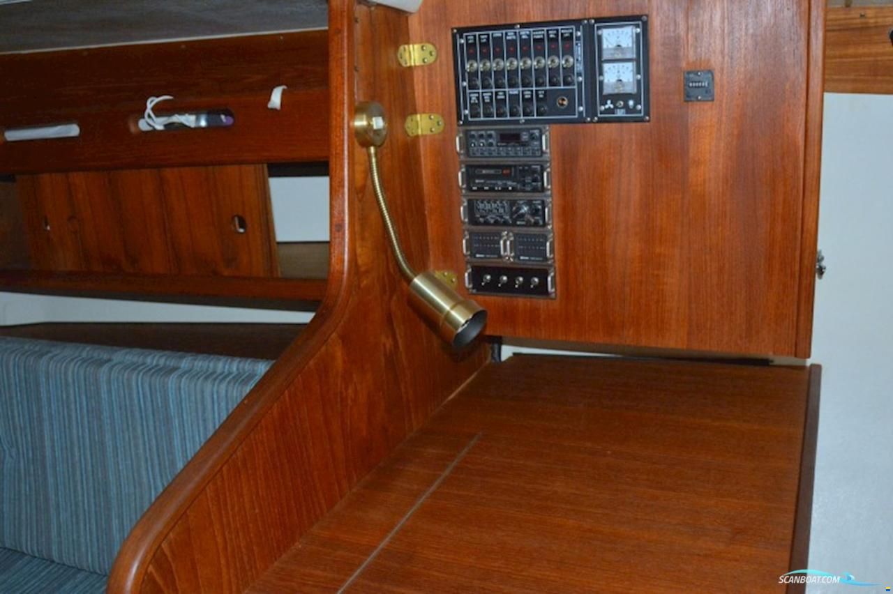 Comfortina Cayenne 42