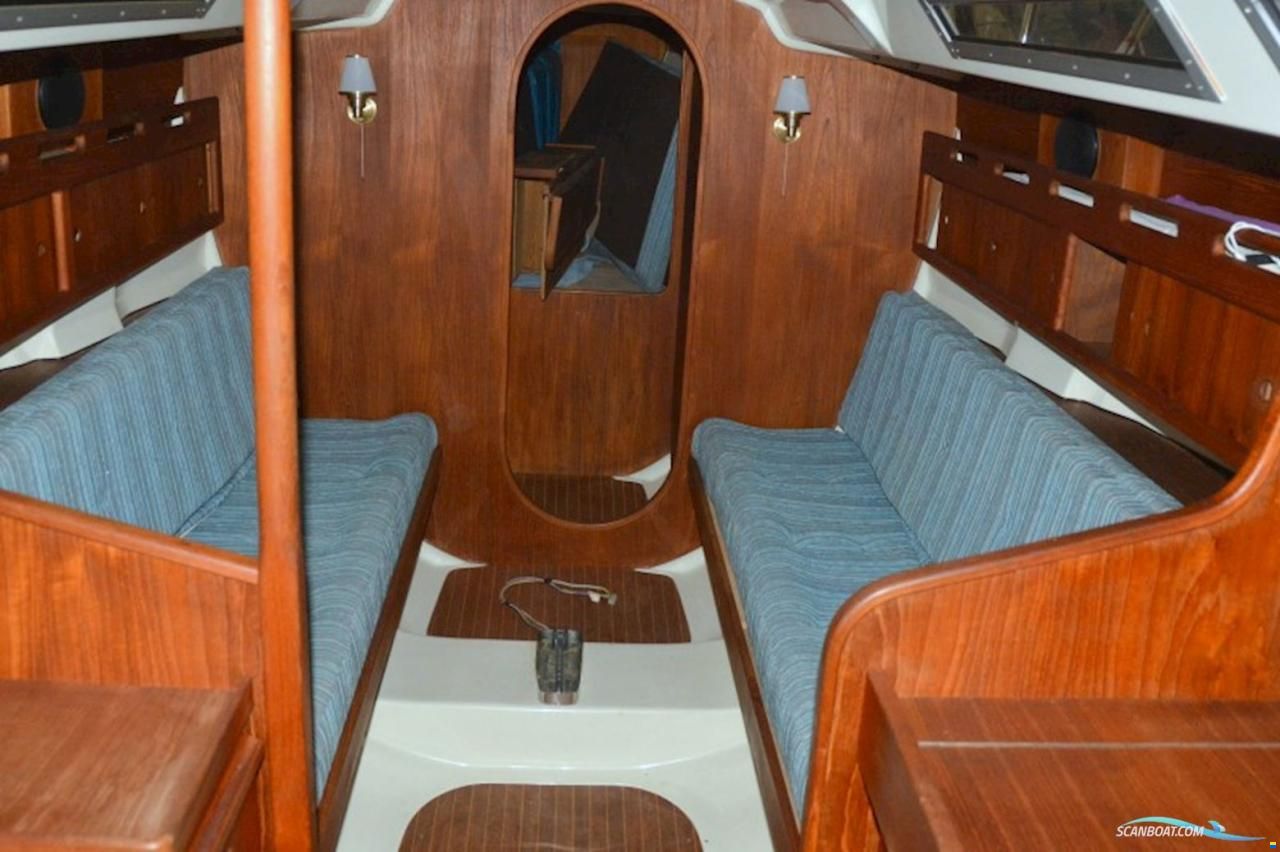 Comfortina Cayenne 42