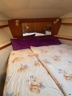 Sun Cruiser 36 Fly
