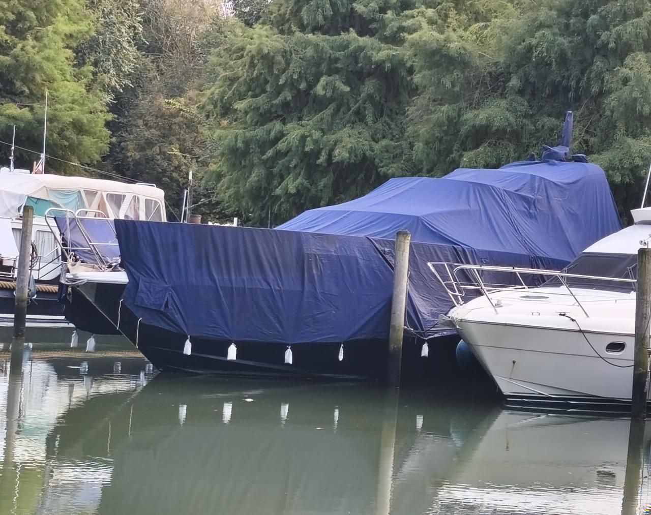 Colvic Sunquest 53