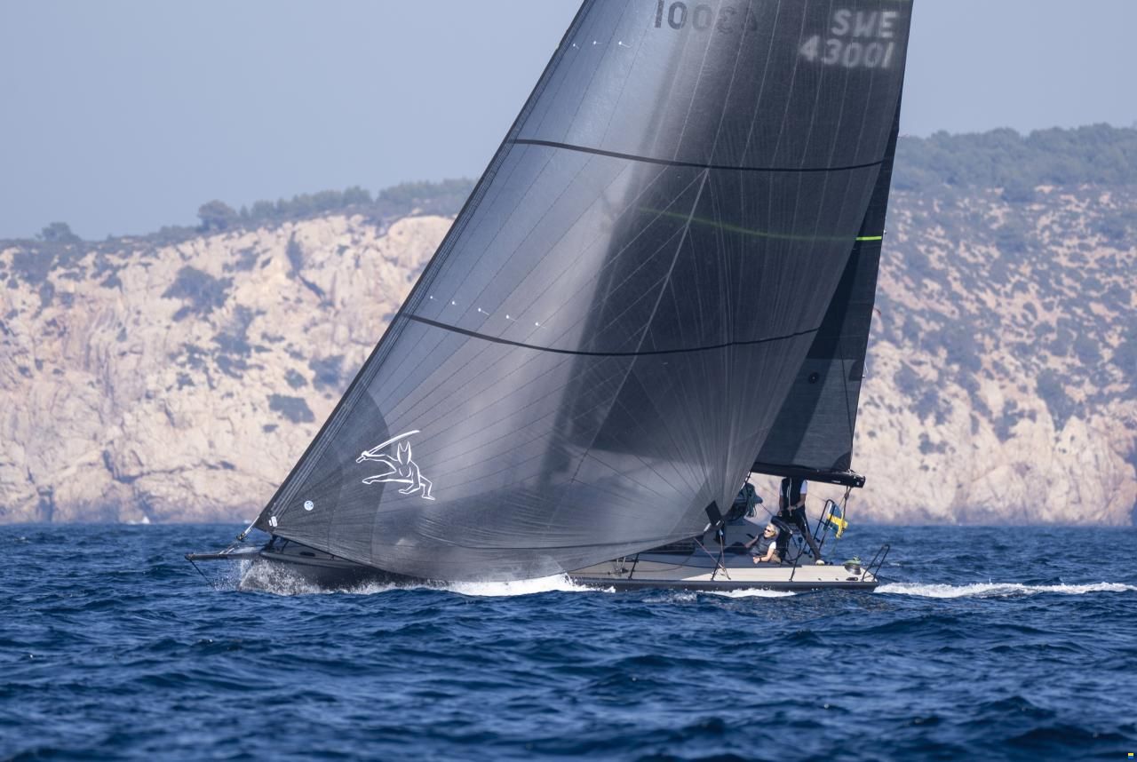 Shogun 43
