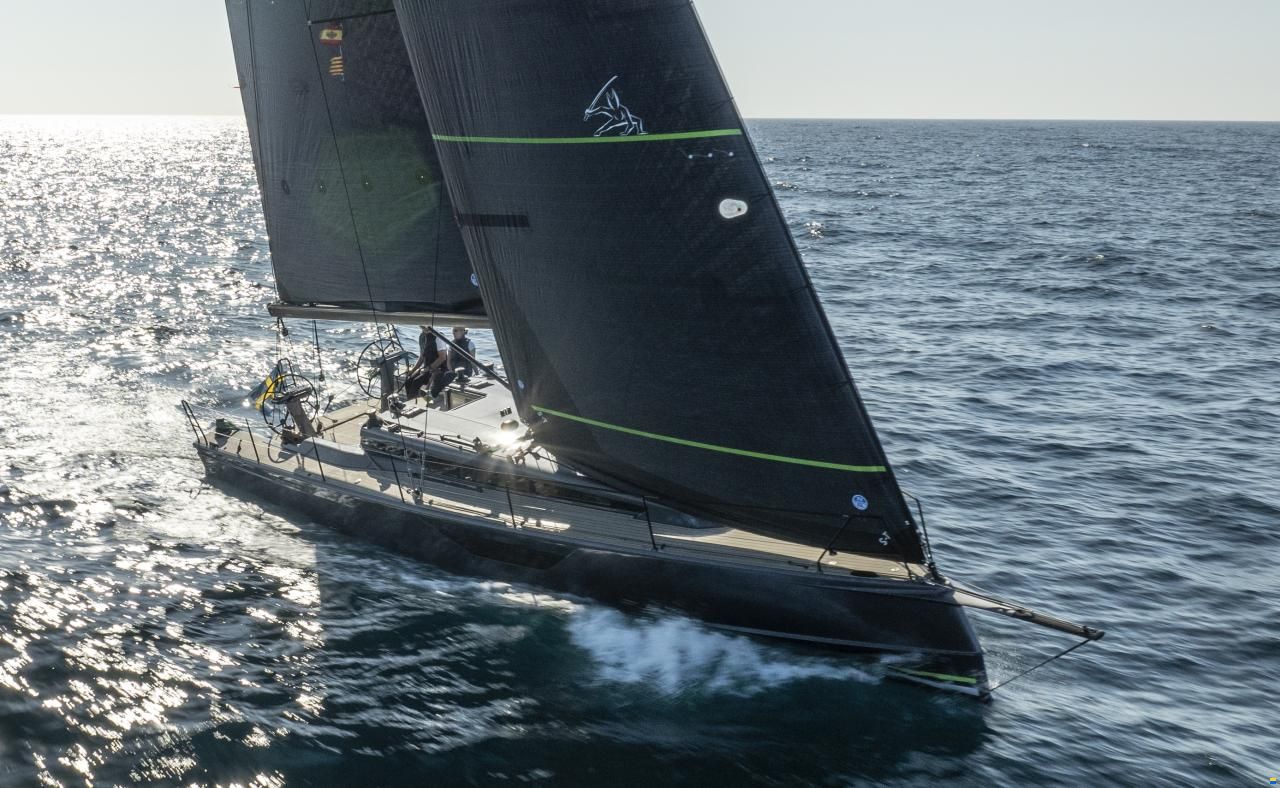 Shogun 43
