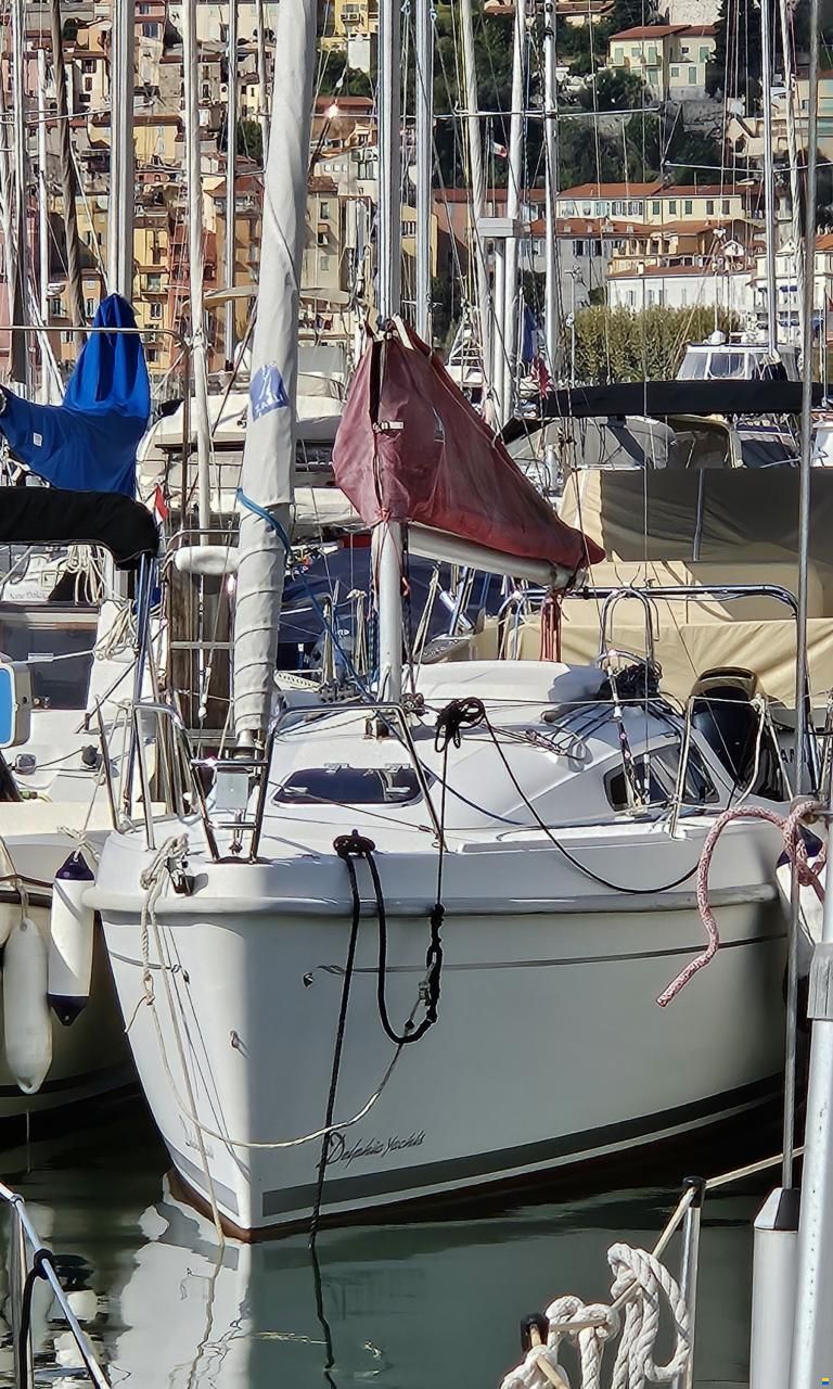 Delphia 24
