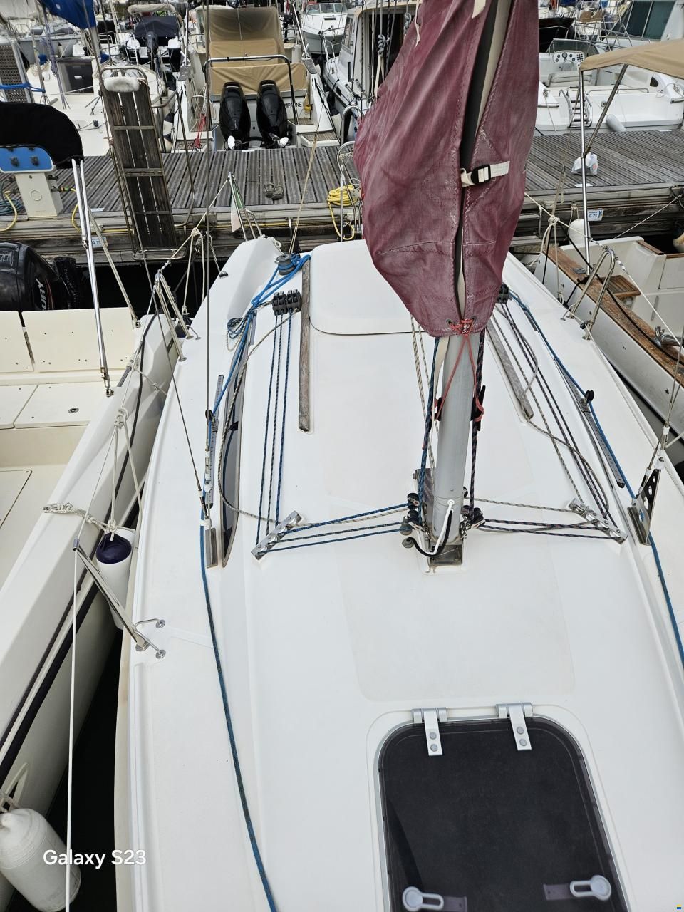 Delphia 24