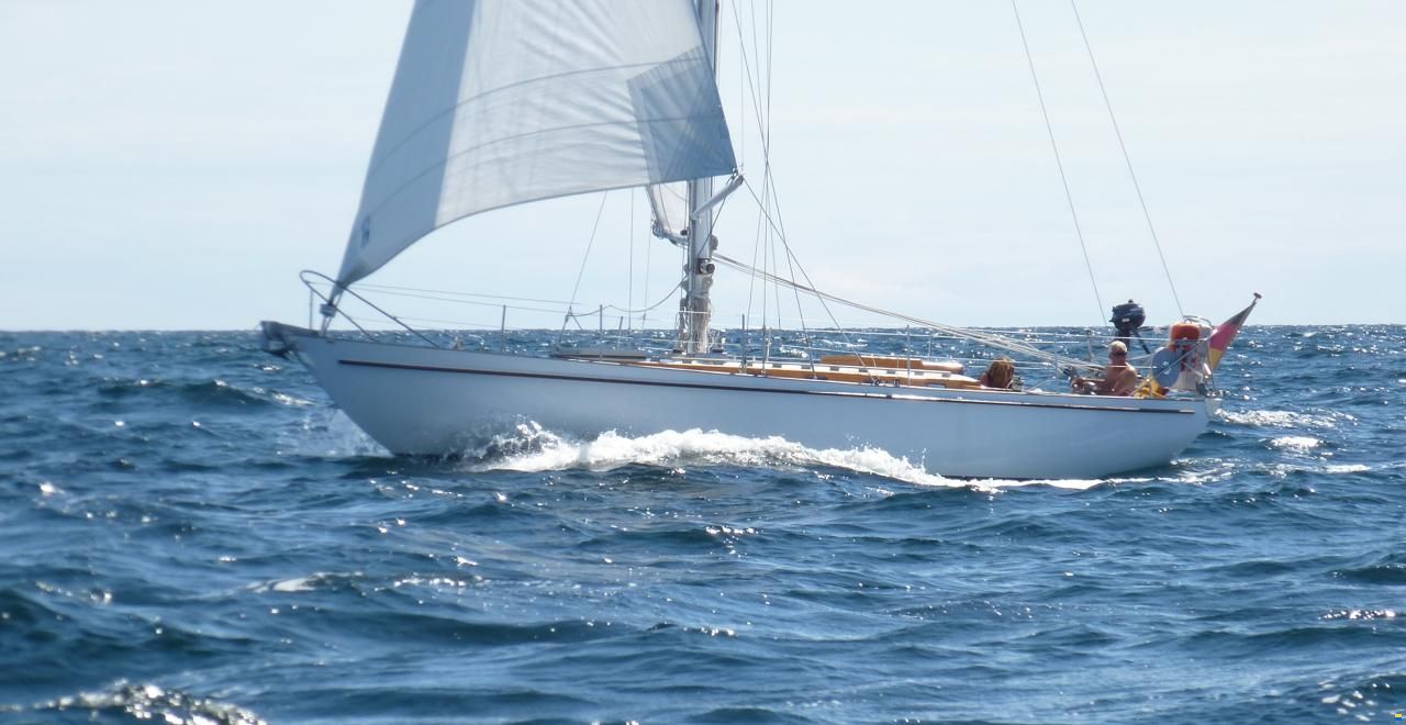 Illingworth & Primrose Belmore I