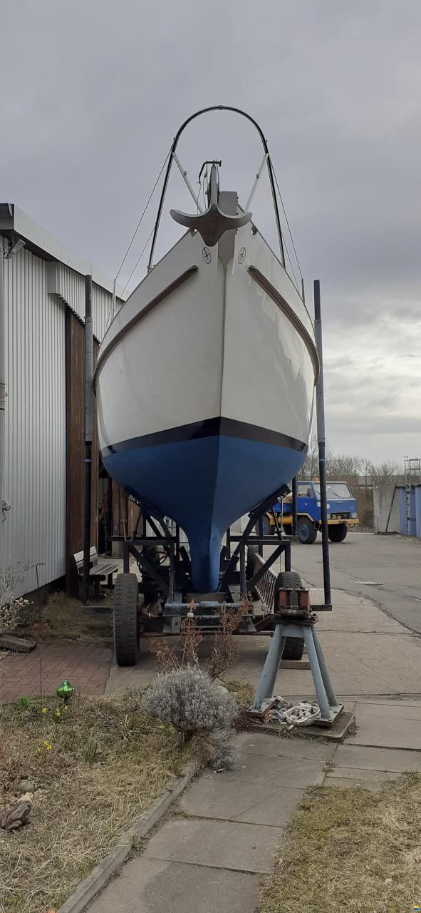 Illingworth & Primrose Belmore I